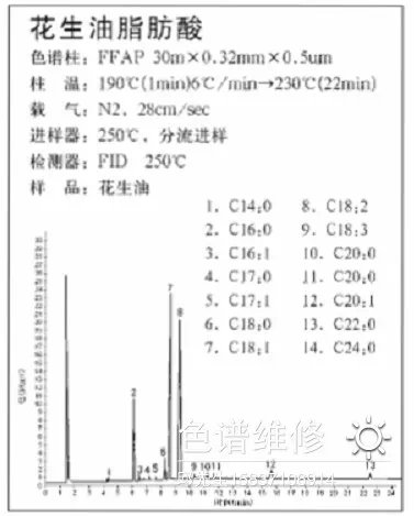 花生油中脂肪酸分析气相色谱仪图谱